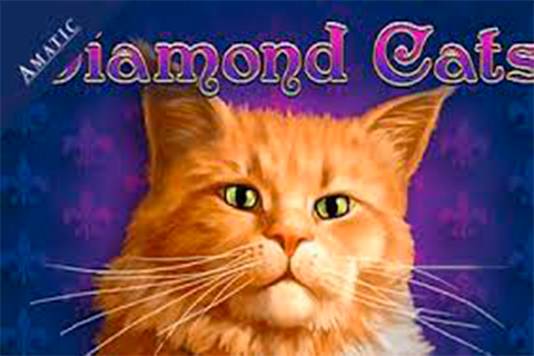 Diamond Cats Amatic 